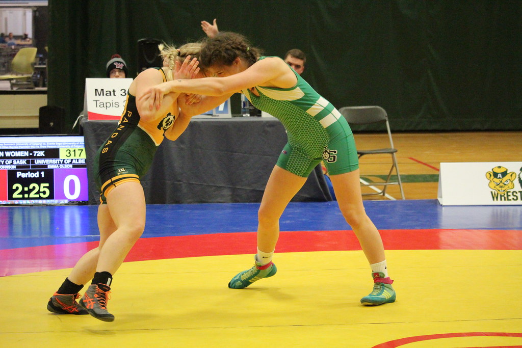 IMG_8657 2019 U of A Golden Bear Terry Johnson Flickr