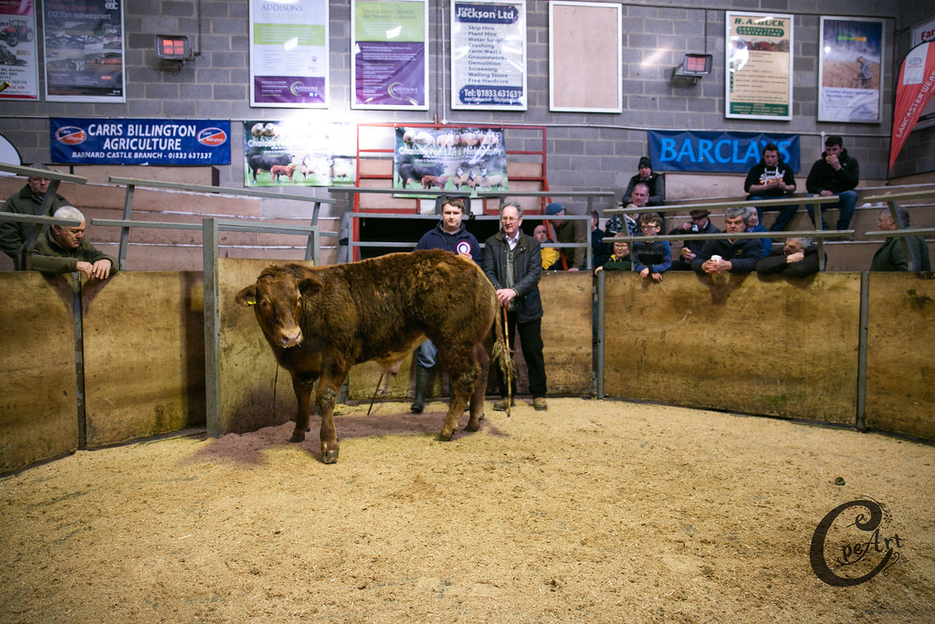 Show Pot. Feb 1958 Barnard Castle Auction Mart Flickr