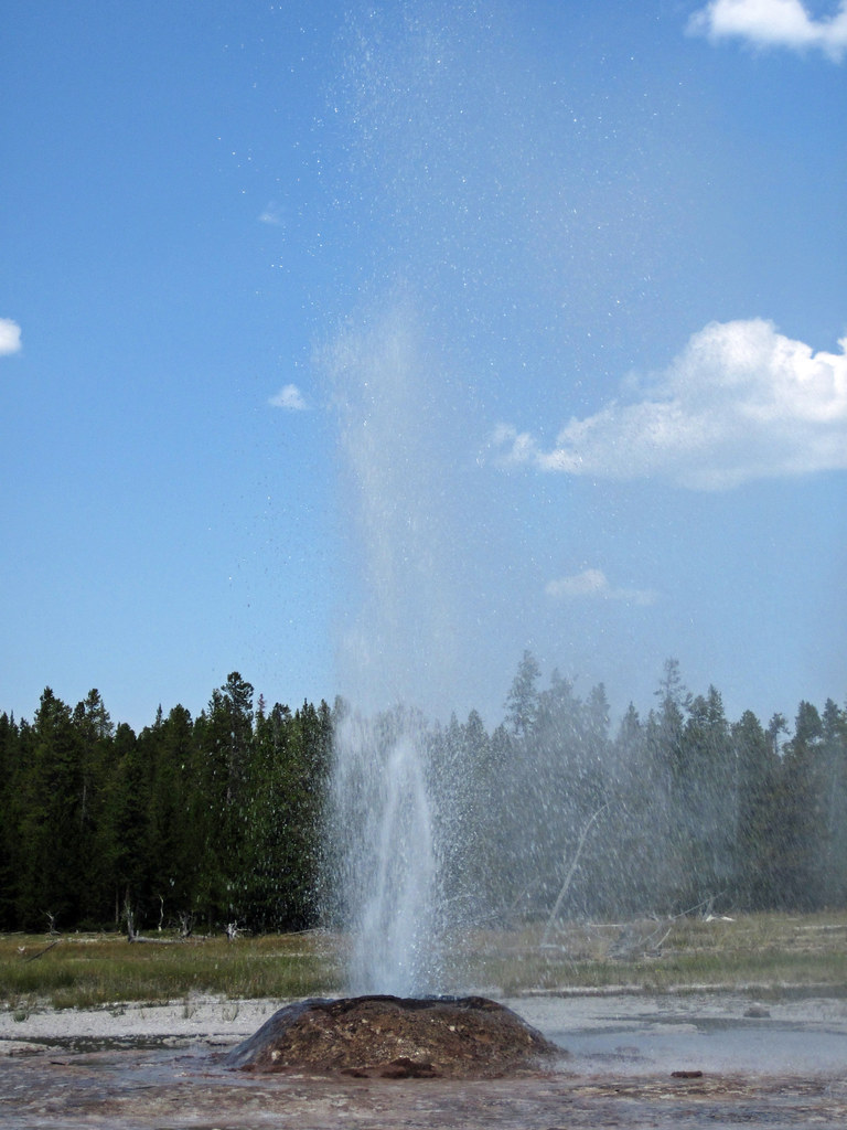 Pink Cone Geyser eruption (142 PMonward, 11 August 2018)… Flickr