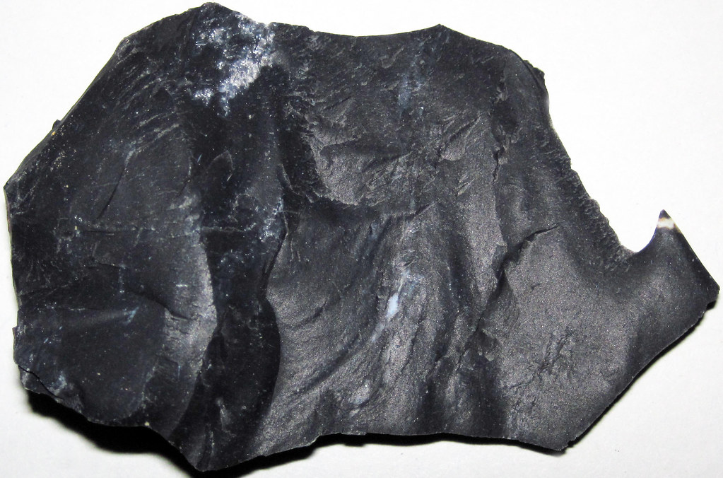 Zaleski Flint (Middle Pennsylvanian; west of Creola, north… Flickr