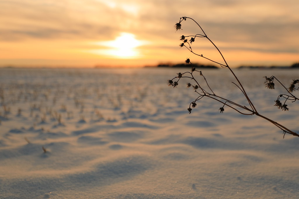 Elevation of Stony Plain, AB, Canada Topographic Map Altitude Map