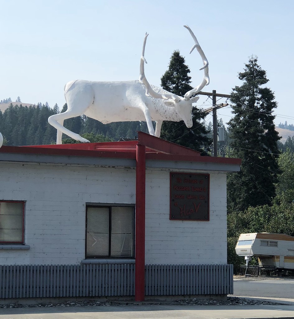 ELK KOOSKIA IDAHO Frank Kelsey