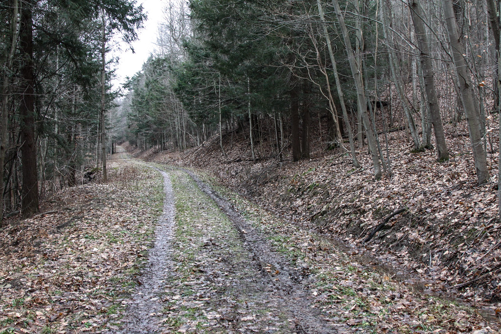 _MG_0500 A First Day hike along Conesus Lake. NYS DEC Flickr