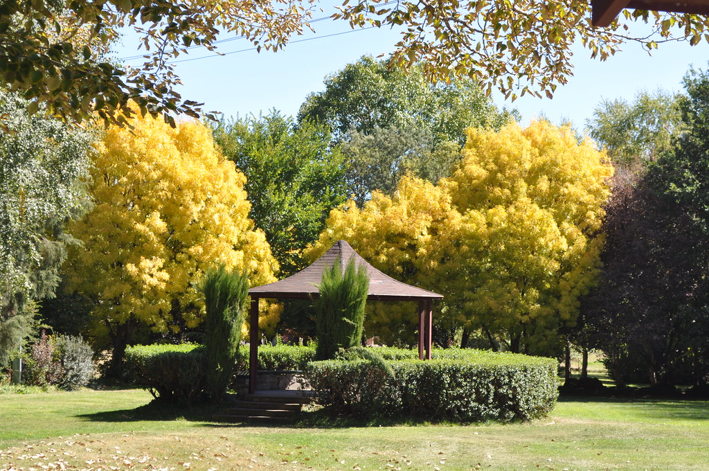 Cooma, NSW This series are photographs taken while discove… Flickr