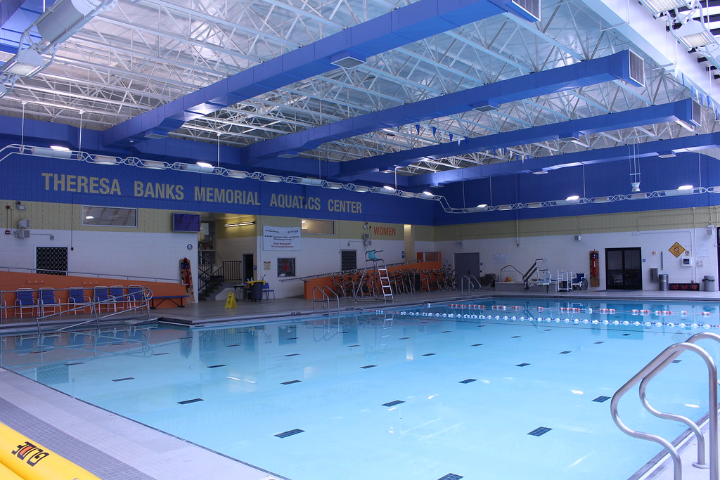 TBanks 3 Theresa Banks Overview 2 Theresa Banks Flickr