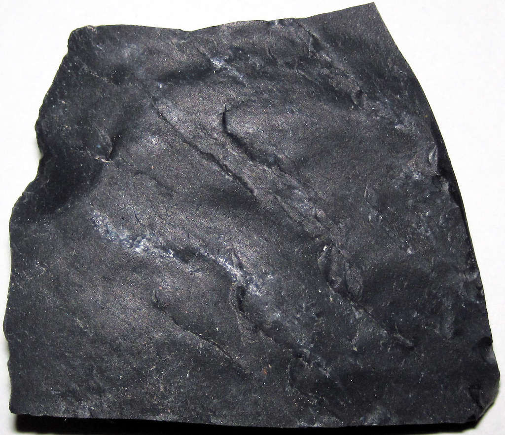 Zaleski Flint (Middle Pennsylvanian; west of Creola, north… Flickr