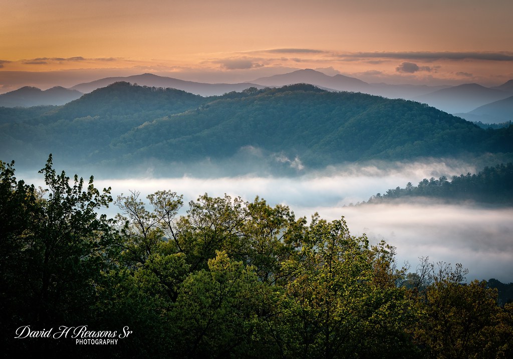 Elevation of Blackberry Mountain, The Loop Rd, Walland, TN, USA
