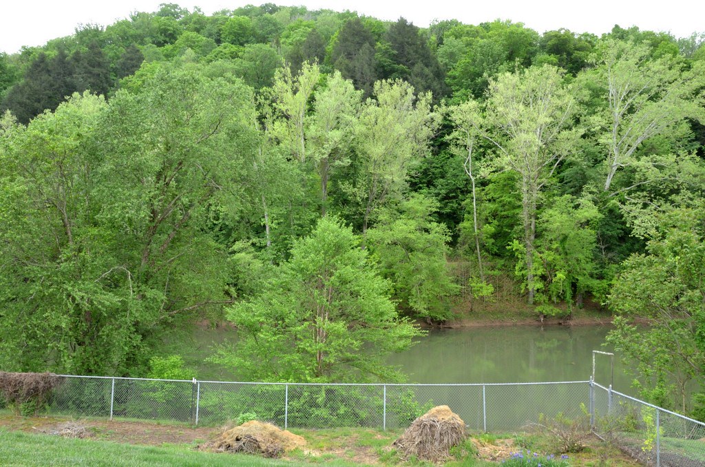 2018 05 16 050 Carr garden, Gassaway, WV Garden and surrou… Flickr