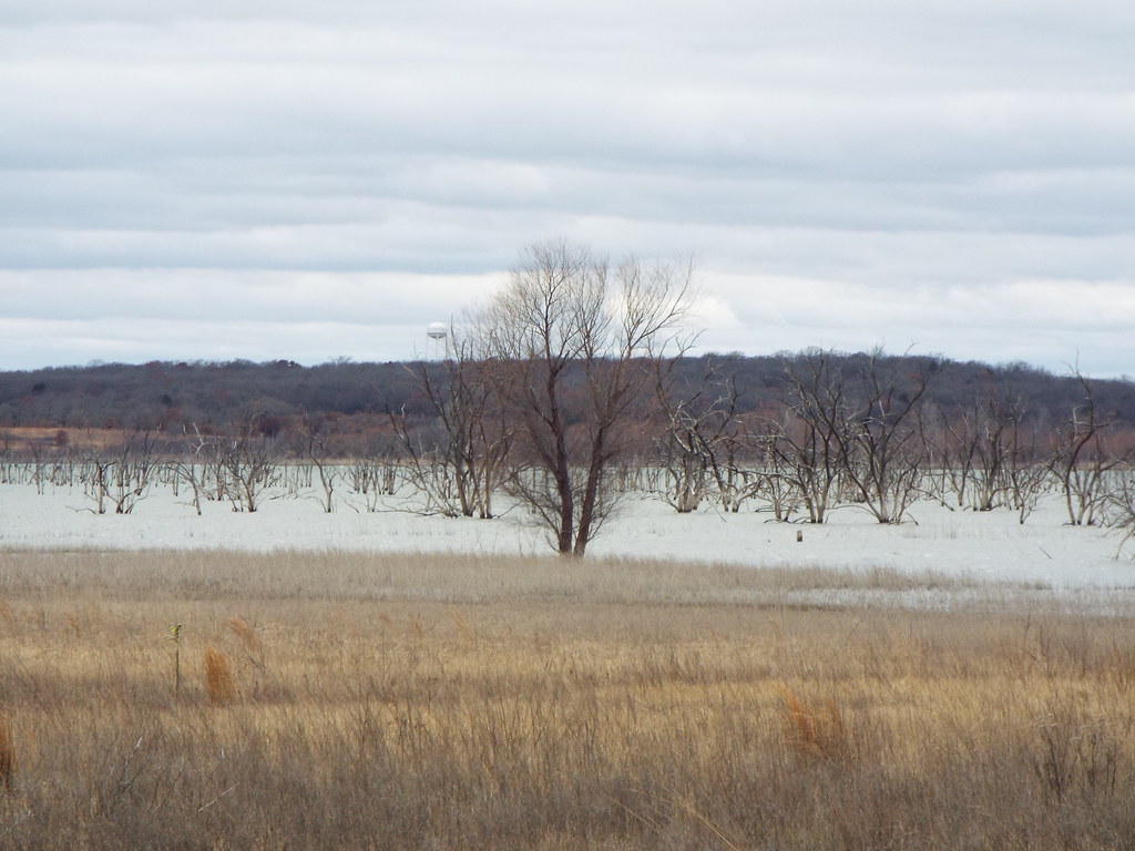 Lake Ray Roberts, Jordan Unit, near Pilot Point, Texas, De… Flickr