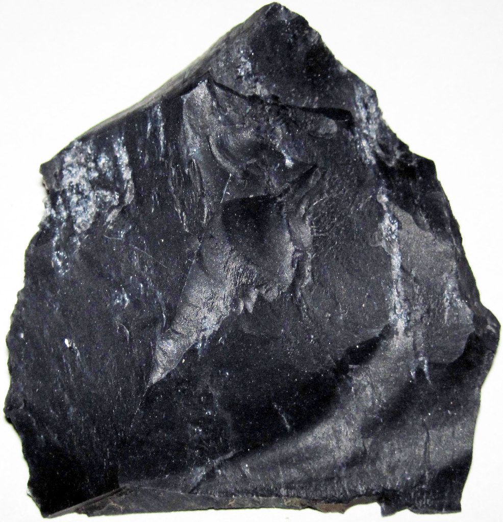 Zaleski Flint (Middle Pennsylvanian; west of Creola, north… Flickr