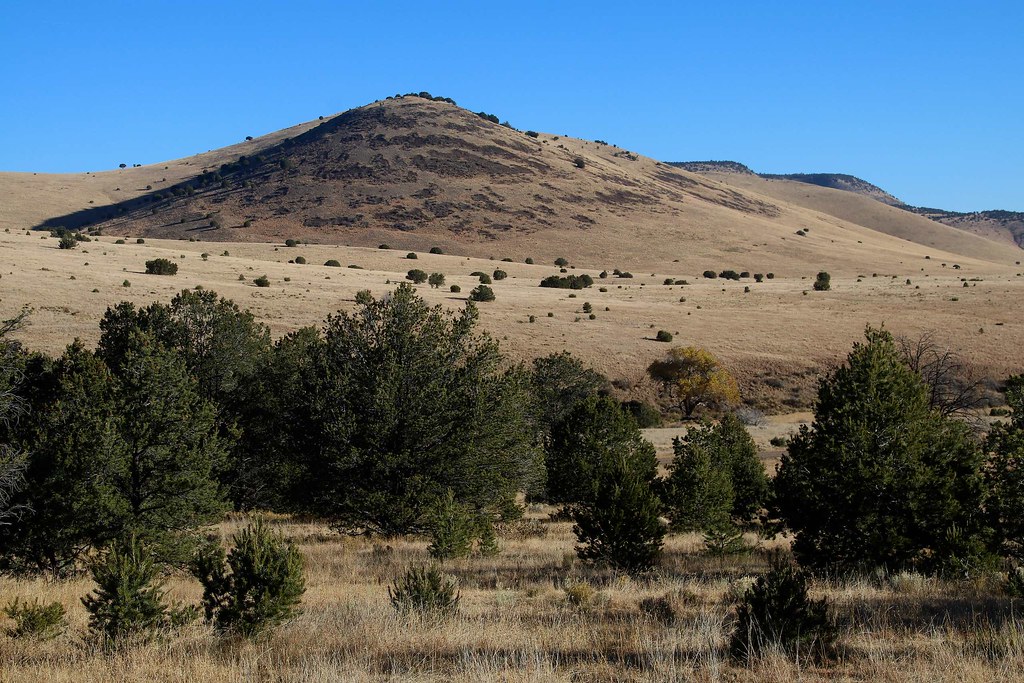 Landscape near edge of Gila NF, S of Quemado, NM a photo on Flickriver