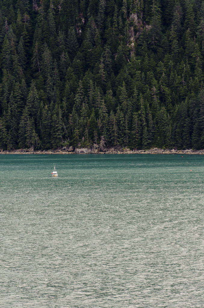 Seattle/Alaska Flickr