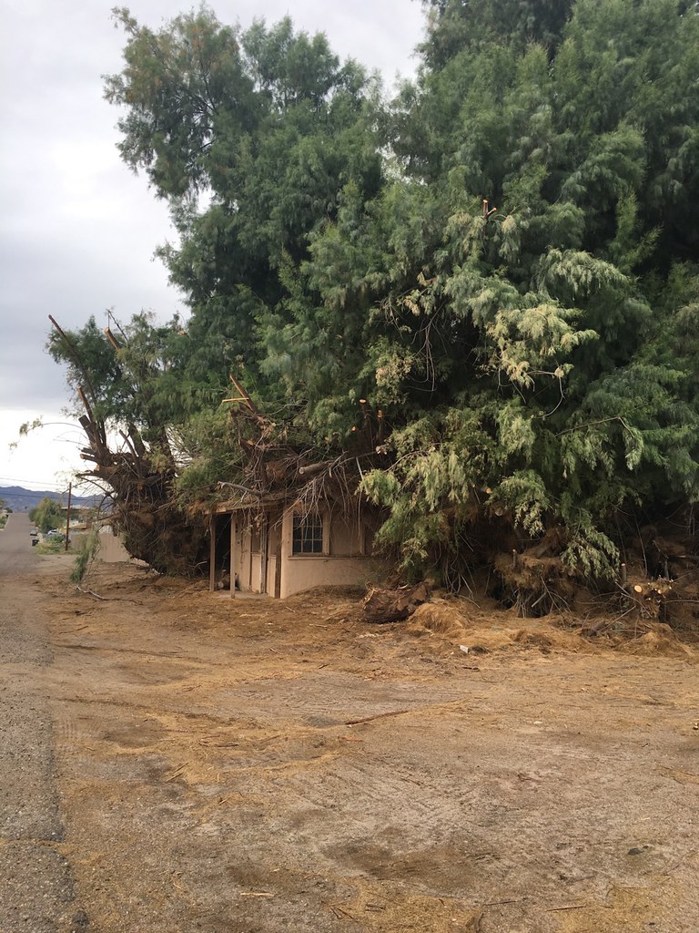 General Patton's Cabin in Needles, CA General Patton's Cab… Flickr