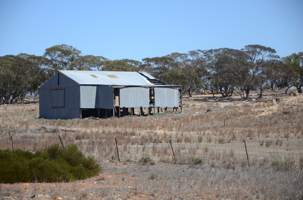 DSC_9633 abandoned farm shed, Herrmann Road, c.6.8km east … Flickr