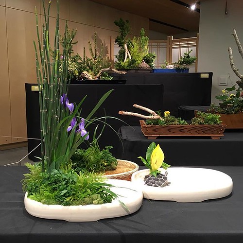 Amazing show of ikebana flower arrangement using materials… Flickr