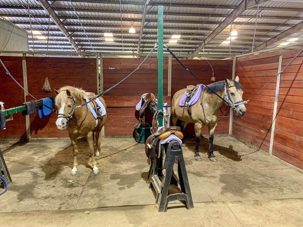 Dallas Equestrian Center Flickr