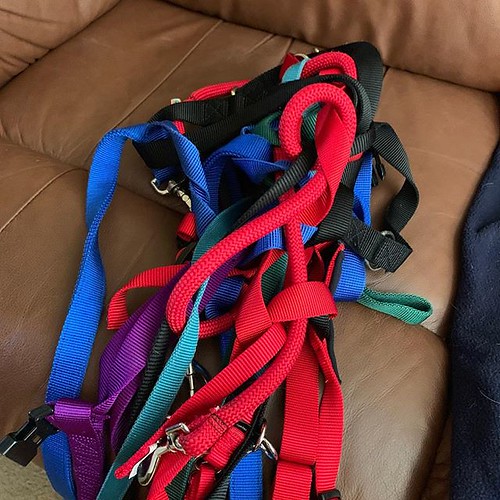 Good idea. Let’s wash the extra leashes and donate them. T… Flickr