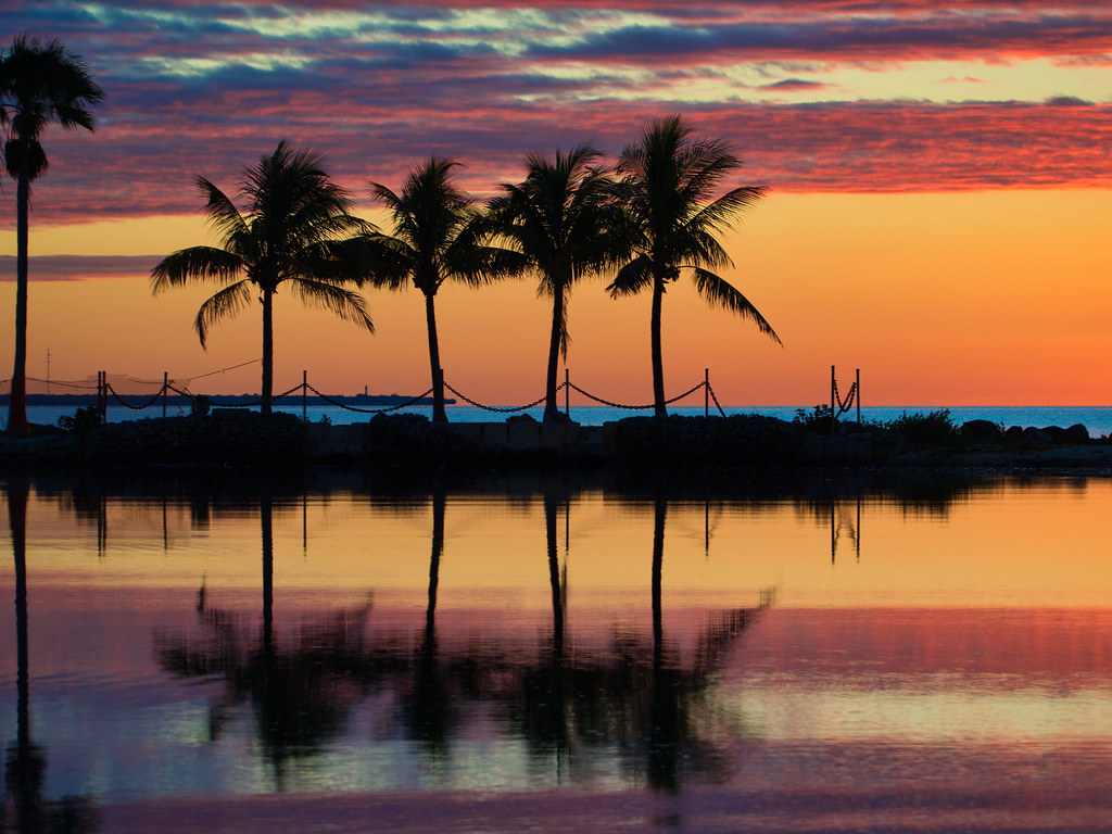 Sunrise at Matheson Matheson Hammock Park south of Miami i… Flickr