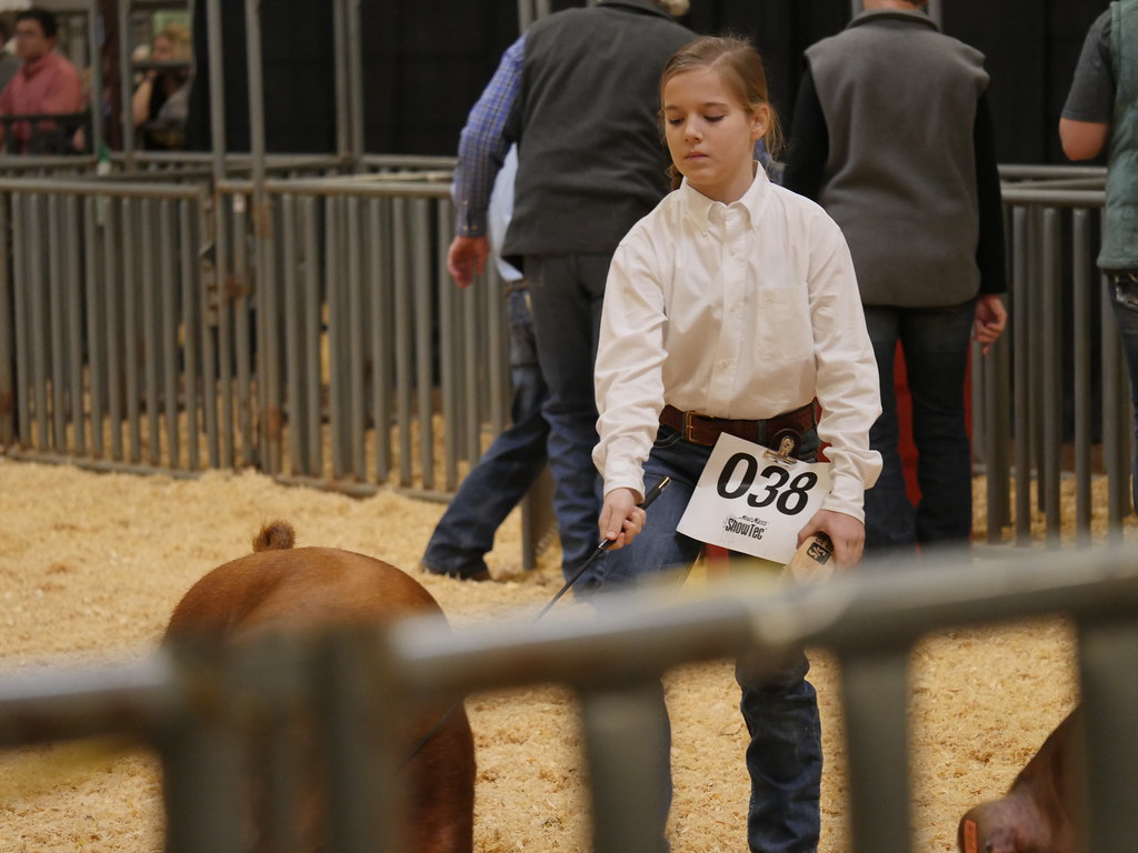 20190204bisdbellcountyyouthfair277 Belton ISD Flickr