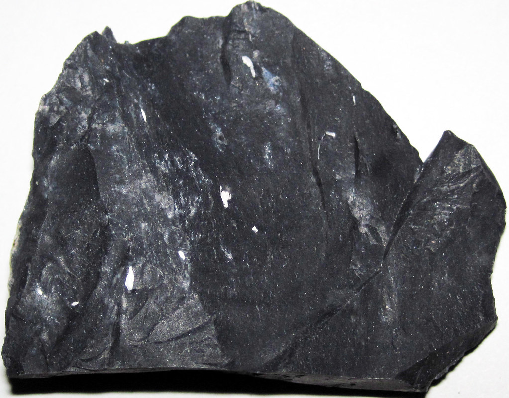 Zaleski Flint (Middle Pennsylvanian; west of Creola, northern Vinton County, Ohio, USA) 32 a