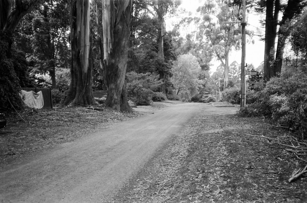 Hume Lane!! Camera used Canon Snappy 20 Film used Kentme… Flickr