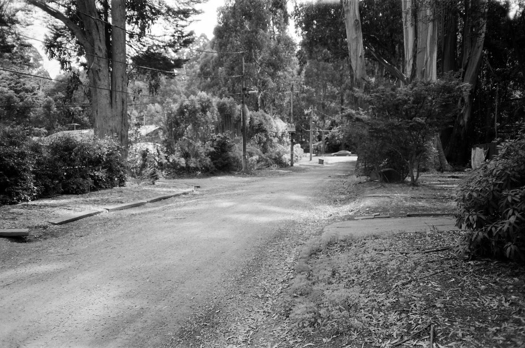 Hume Lane... Camera used Canon Snappy 20 Film used Kentm… Flickr