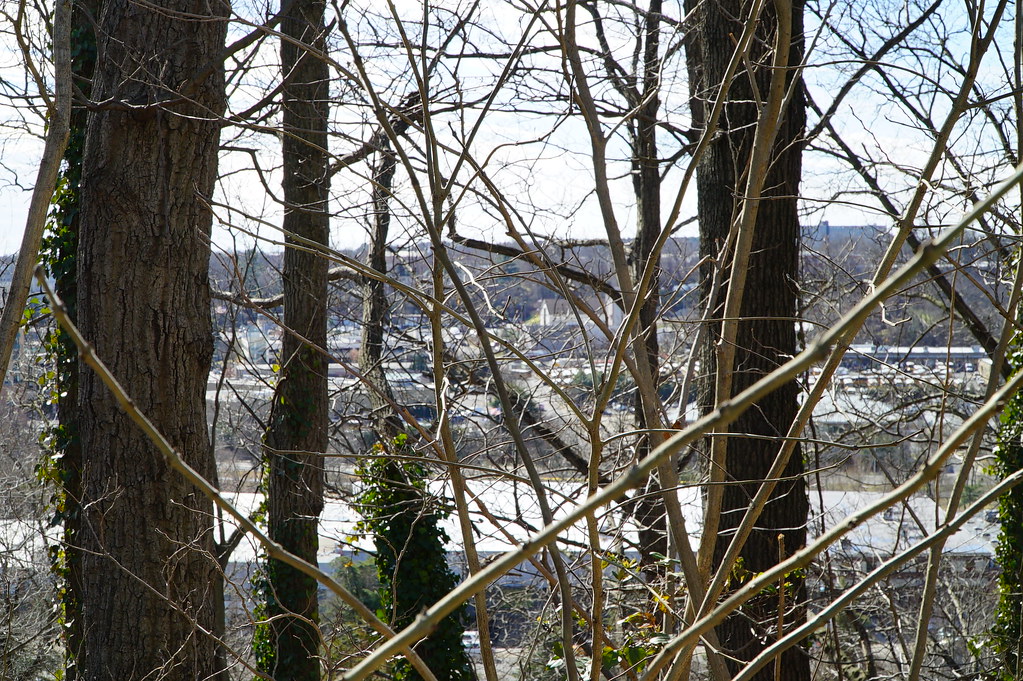 DSC03945 Urban Shocker Flickr