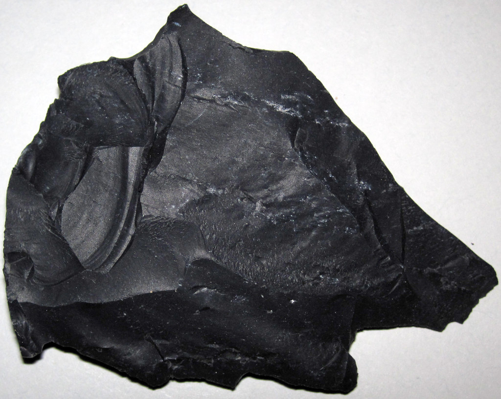 Zaleski Flint (Middle Pennsylvanian; west of Creola, north… Flickr