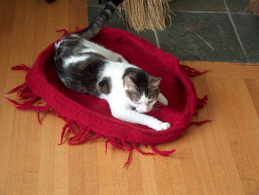 Trying it out Knitted and felted moebius basket/cat bed fr… Flickr