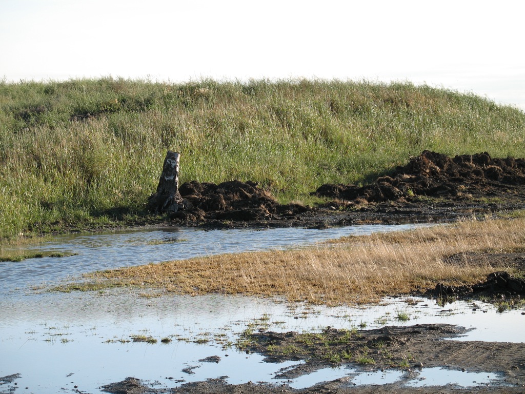 Slough Micheal J Flickr