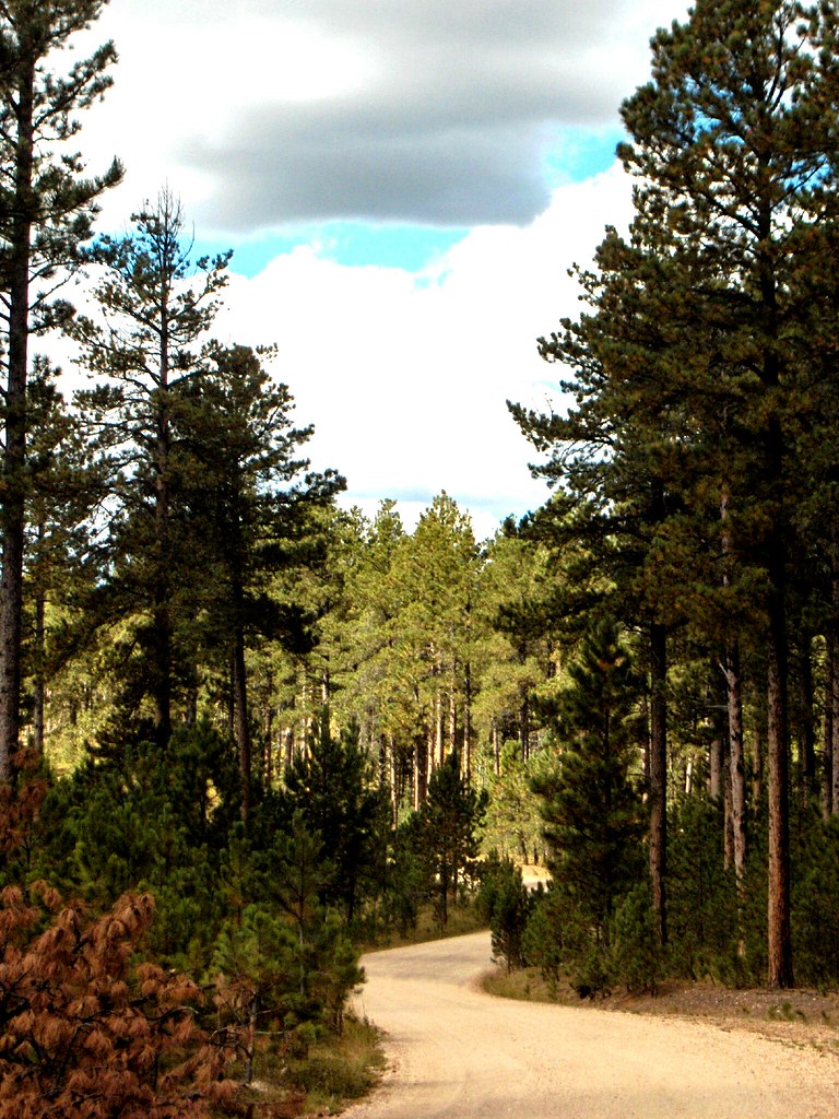 Elevation of Brownsville Rd, Deadwood, SD, USA Topographic Map Altitude Map
