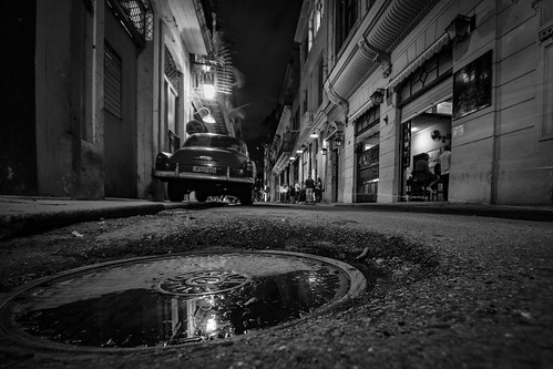 Oreilly | Ariel Arias | Flickr