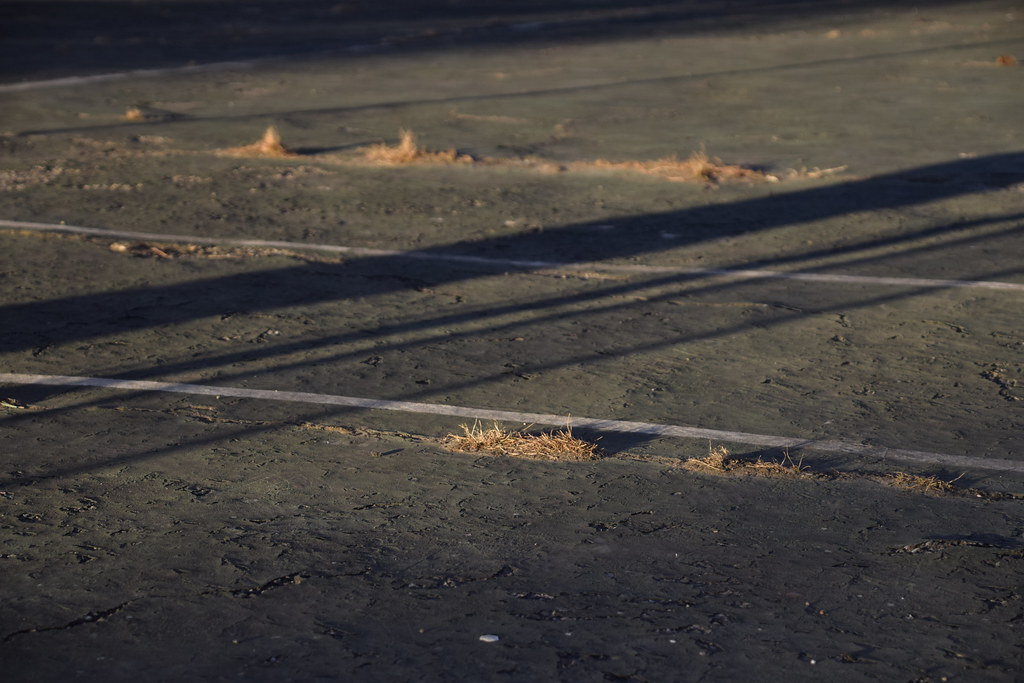 Out of bounds. Grass and shadows on a disused tennis court… Flickr