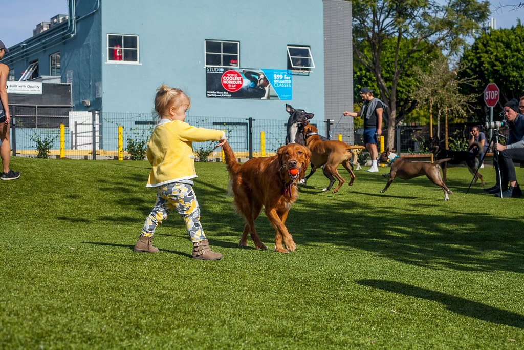 City of West Hollywood Dog Parks by ForeverLawn Pacific Co… Flickr