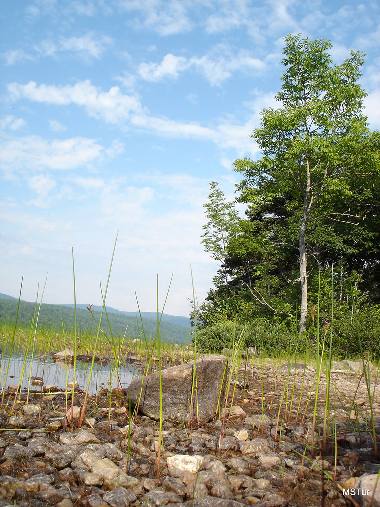Kouchibouguac National Park. 2005 Flickr