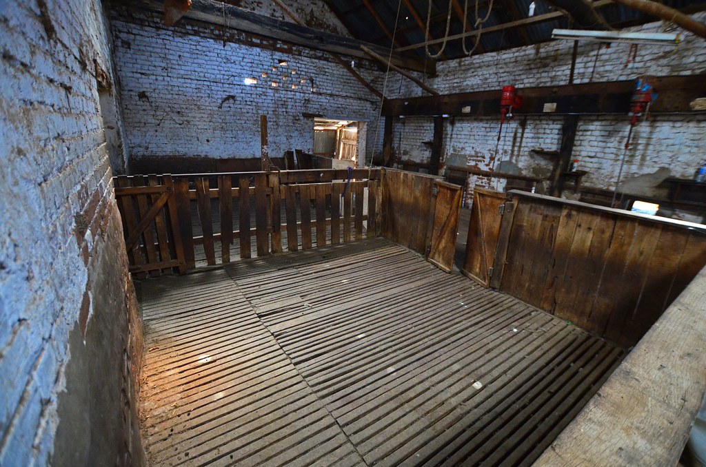 Macquarie Homestead, Shearing Shed The catching pens where… Flickr