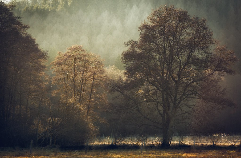 Like a Painting I think it has the look of a painting, so … Flickr