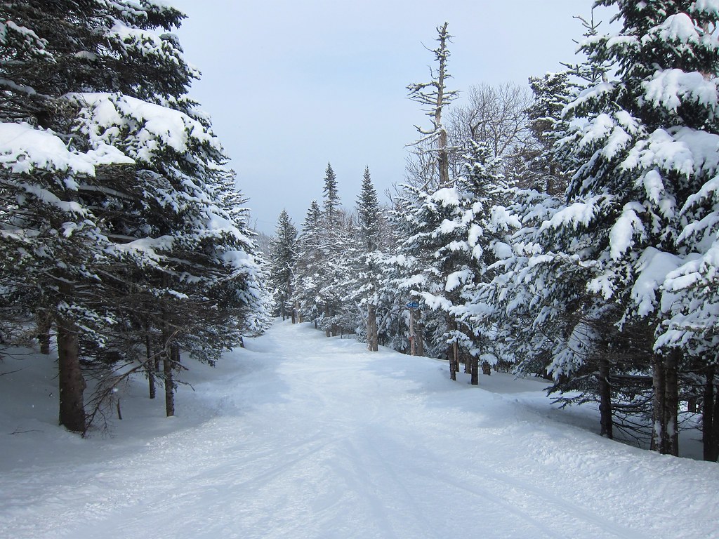 Rimrock A beautiful and easytomiss trail off of Upper No… Flickr