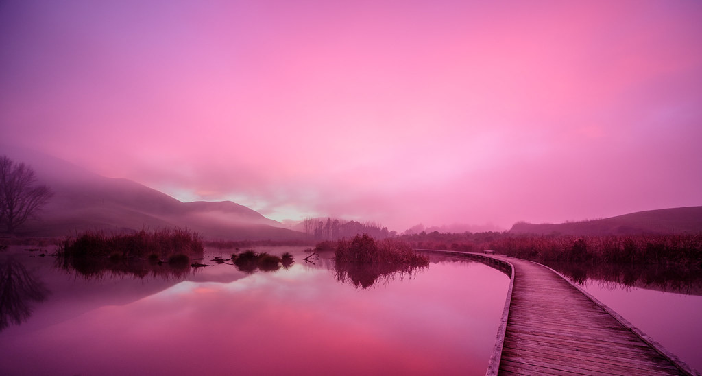 Ultrared Peka Peka Wetlands, Hawke's Bay, New Zealand Yea… Flickr