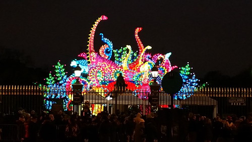 29 Paris Janvier 2019 Illuminations dans le Jardin des