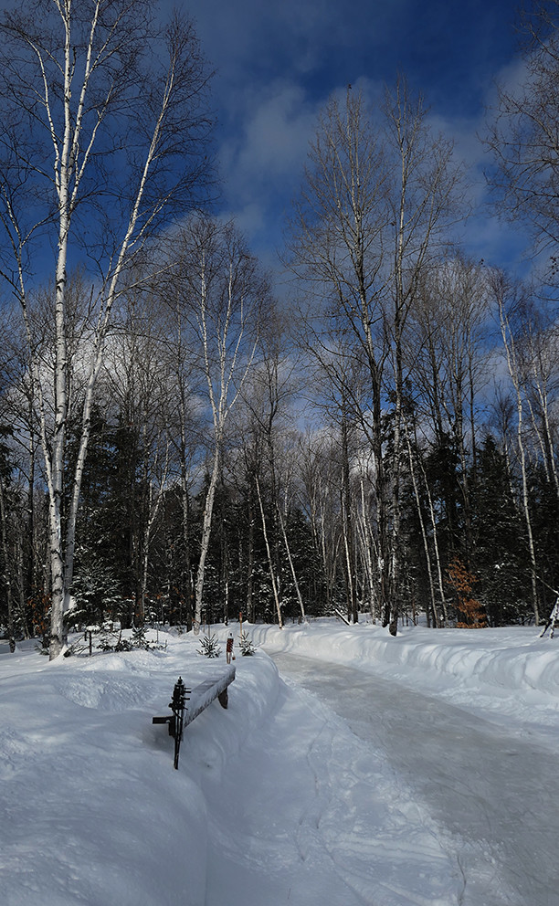 Lac des Loups 01 19 P1120160 Stephen Millar Flickr