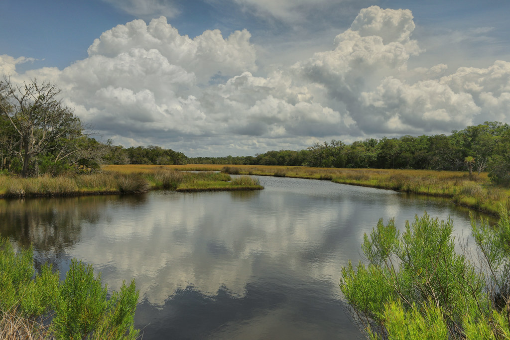 Mason Creek, Homosassa, Citrus County, Florida 1 Alan Cressler Flickr