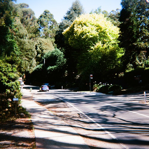 Mount Dandenong Tourist Road, yet again Camera used Kodak… Flickr