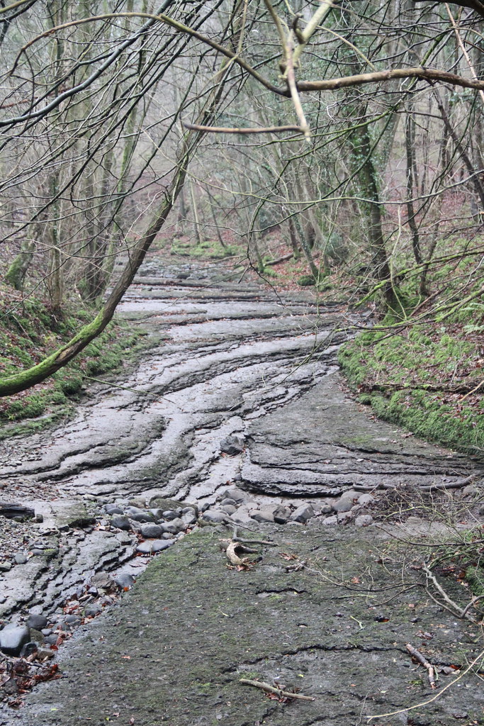 IMG_5669 The Seven Bridges valley walk, near Fountains Abb… Flickr