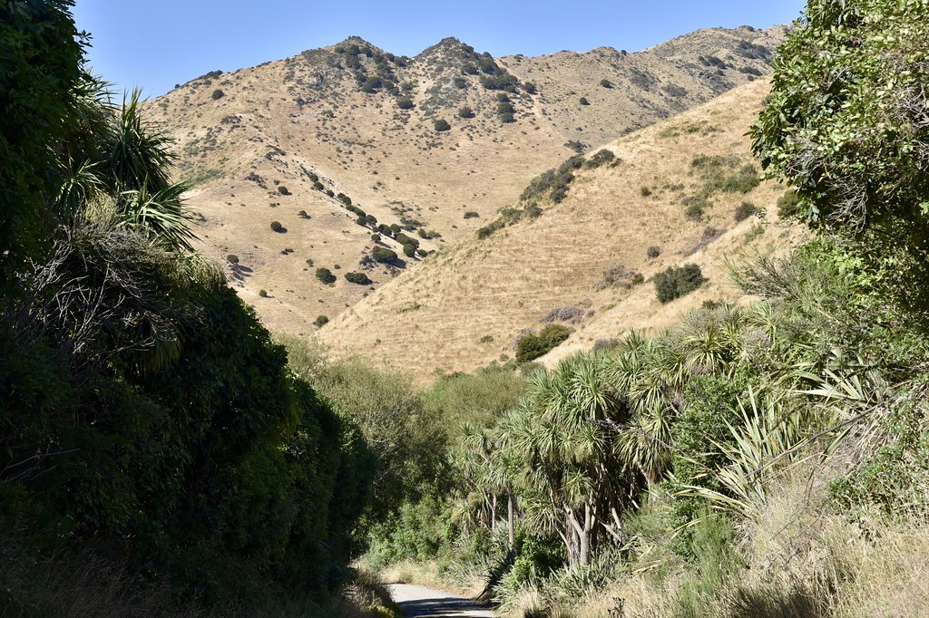 Taylor Pass Taylor Pass Rd connects the Wairau Valley in t… Flickr