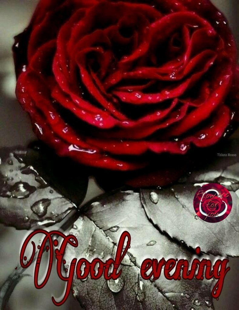 Good Evening Images Flowers / Good Evening Quotes With Flowers