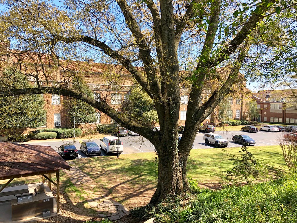 Roosevelt High School (Girls High School), Grant Park, Atl… Flickr