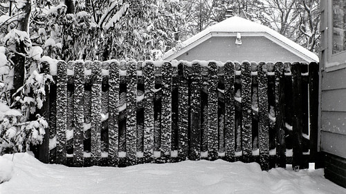 Fences. The Something Awful Forums