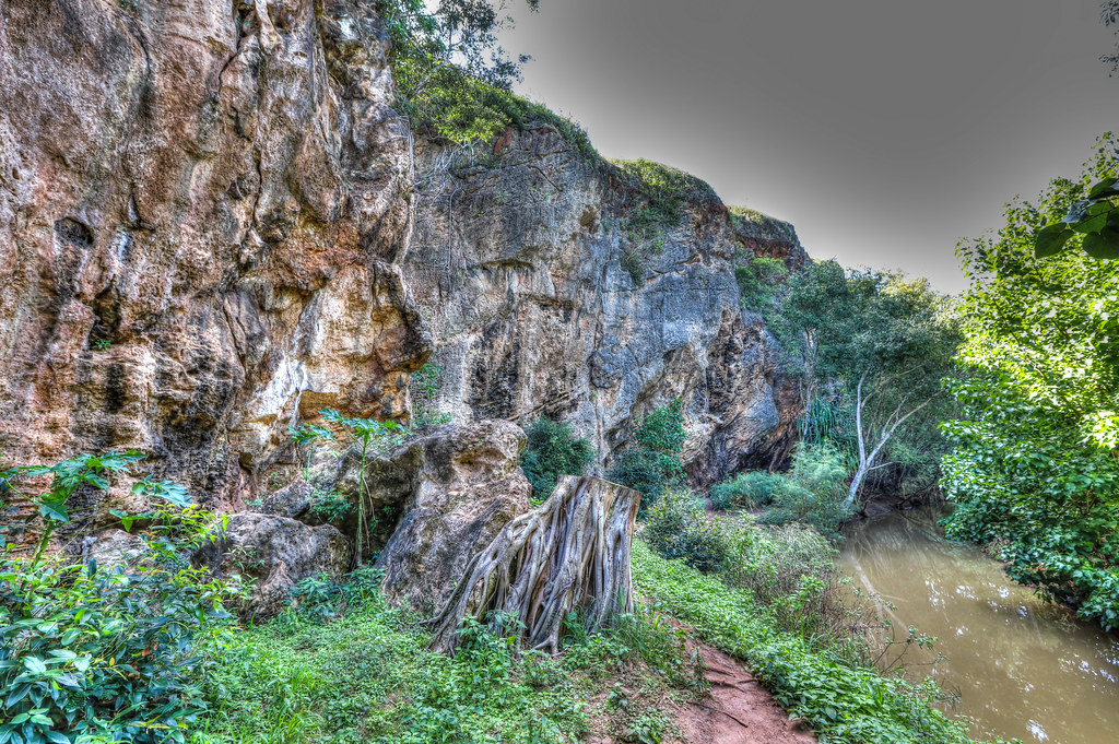 Makauwahi Cave The Makauwahi Cave is the Largest limestone… Flickr