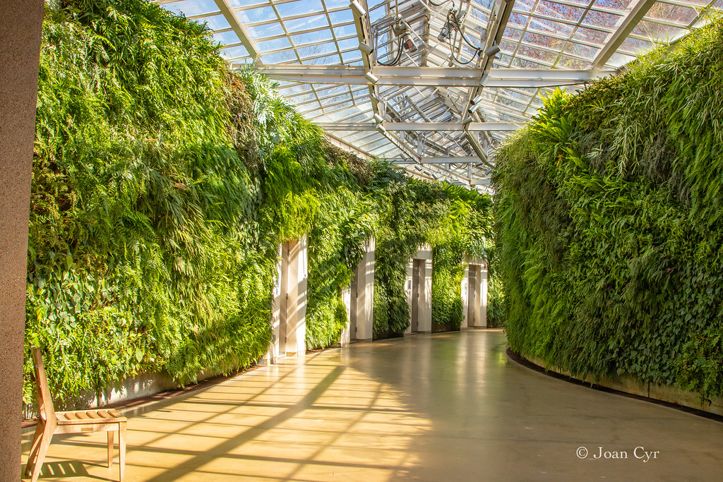 Wall of Green Longwood Gardens, Square in PA Flickr